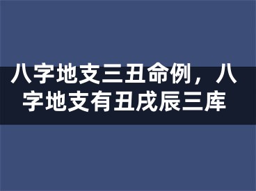 八字地支三丑命例，八字地支有丑戌辰三库