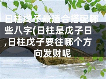 日柱戊子最适合搭配哪些八字(日柱是戊子日,日柱戊子要往哪个方向发财呢