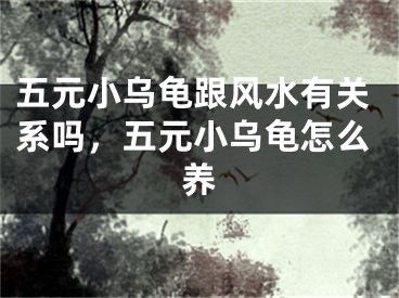 五元小乌龟跟风水有关系吗,五元小乌龟怎么养