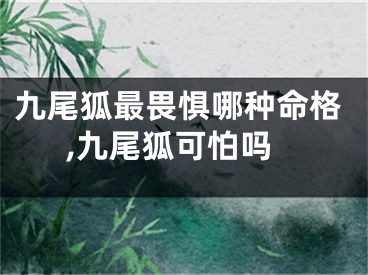 九尾狐最畏惧哪种命格,九尾狐可怕吗
