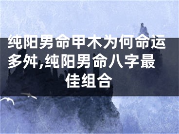 纯阳男命甲木为何命运多舛,纯阳男命八字最佳组合