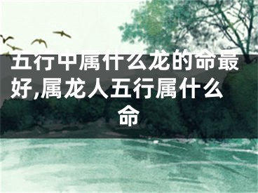 五行中属什么龙的命最好,属龙人五行属什么命