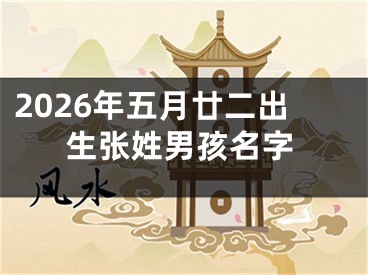 2026年五月廿二出生张姓男孩名字
