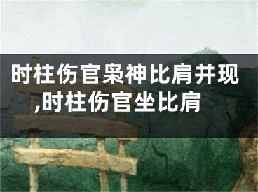 时柱伤官枭神比肩并现,时柱伤官坐比肩