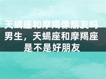 天蝎座和摩羯像朋友吗男生，天蝎座和摩羯座是不是好朋友