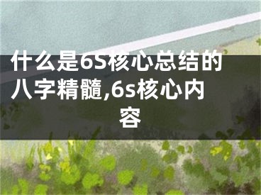 什么是6S核心总结的八字精髓,6s核心内容