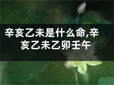 辛亥乙未是什么命,辛亥乙未乙卯壬午 