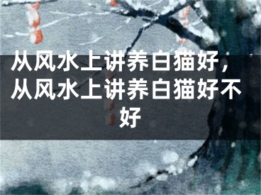 从风水上讲养白猫好，从风水上讲养白猫好不好