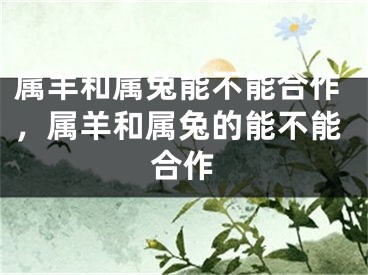 属羊和属兔能不能合作，属羊和属兔的能不能合作