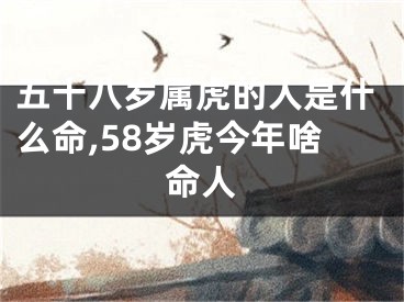 五十八岁属虎的人是什么命,58岁虎今年啥命人