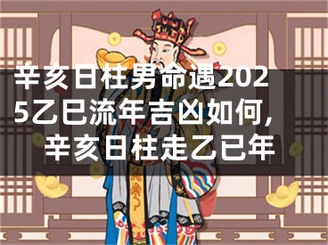 辛亥日柱男命遇2025乙巳流年吉凶如何,辛亥日柱走乙已年