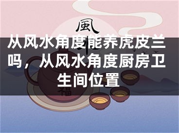 从风水角度能养虎皮兰吗，从风水角度厨房卫生间位置