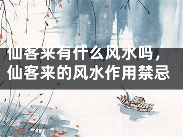 仙客来有什么风水吗，仙客来的风水作用禁忌