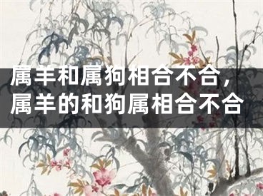 属羊和属狗相合不合，属羊的和狗属相合不合