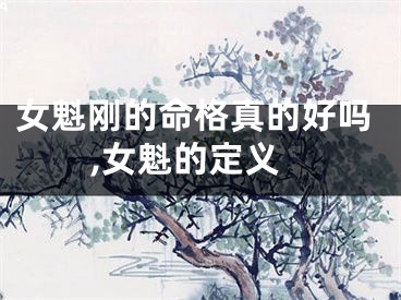 女魁刚的命格真的好吗,女魁的定义