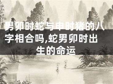 男卯时蛇与申时猪的八字相合吗,蛇男卯时出生的命运