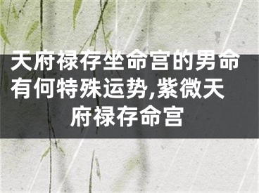 天府禄存坐命宫的男命有何特殊运势,紫微天府禄存命宫