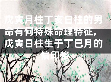 戊寅月柱丁亥日柱的男命有何特殊命理特征,戊寅日柱生于丁巳月的偏印格