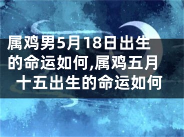 属鸡男5月18日出生的命运如何,属鸡五月十五出生的命运如何