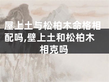 屋上土与松柏木命格相配吗,壁上土和松柏木相克吗