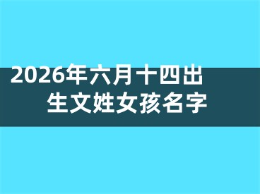 2026年六月十四出生文姓女孩名字