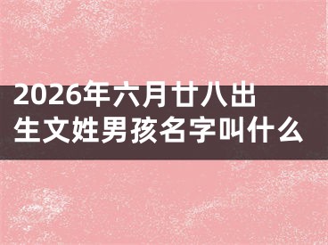 2026年六月廿八出生文姓男孩名字叫什么