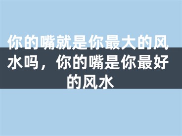 你的嘴就是你最大的风水吗，你的嘴是你最好的风水