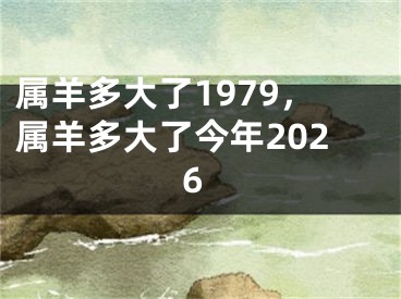 属羊多大了1979，属羊多大了今年2026
