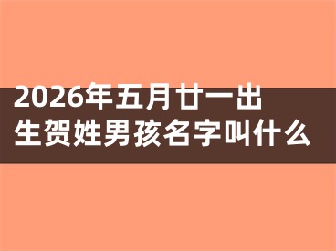 2026年五月廿一出生贺姓男孩名字叫什么