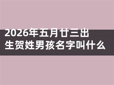 2026年五月廿三出生贺姓男孩名字叫什么