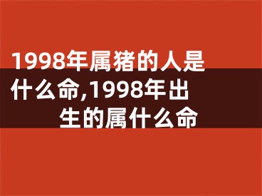 1998年属猪的人是什么命,1998年出生的属什么命
