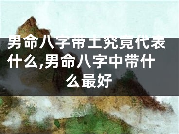 男命八字带土究竟代表什么,男命八字中带什么最好