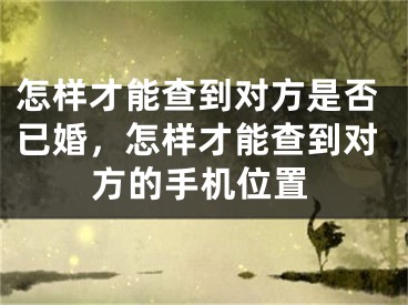 怎样才能查到对方是否已婚，怎样才能查到对方的手机位置