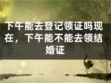 下午能去登记领证吗现在，下午能不能去领结婚证