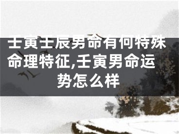壬寅壬辰男命有何特殊命理特征,壬寅男命运势怎么样