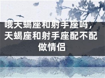 哦天蝎座和射手座吗，天蝎座和射手座配不配做情侣