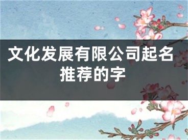 文化发展有限公司起名推荐的字