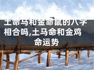 土命马和金命鼠的八字相合吗,土马命和金鸡命运势