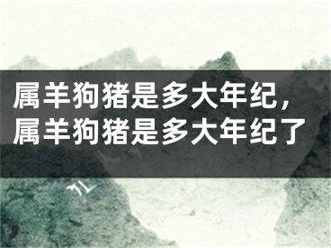 属羊狗猪是多大年纪，属羊狗猪是多大年纪了