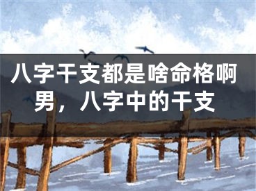 八字干支都是啥命格啊男，八字中的干支