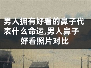 男人拥有好看的鼻子代表什么命运,男人鼻子好看照片对比