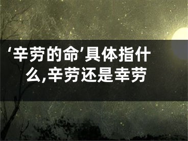 ‘辛劳的命’具体指什么,辛劳还是幸劳