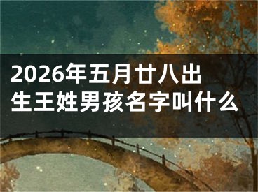 2026年五月廿八出生王姓男孩名字叫什么