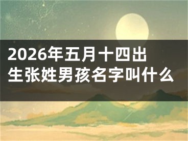 2026年五月十四出生张姓男孩名字叫什么