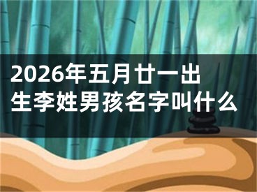 2026年五月廿一出生李姓男孩名字叫什么
