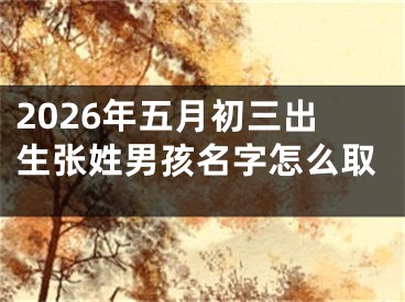 2026年五月初三出生张姓男孩名字怎么取