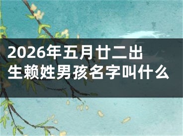 2026年五月廿二出生赖姓男孩名字叫什么