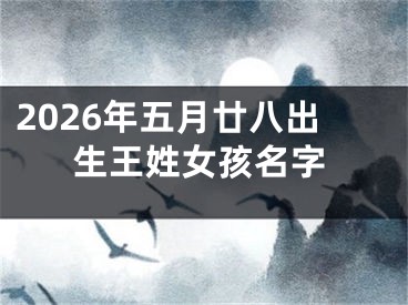 2026年五月廿八出生王姓女孩名字