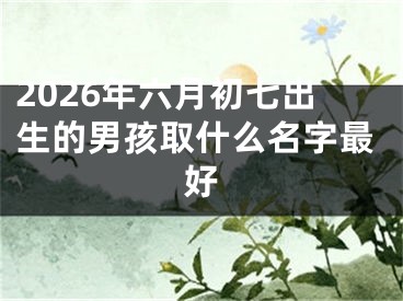 2026年六月初七出生的男孩取什么名字最好