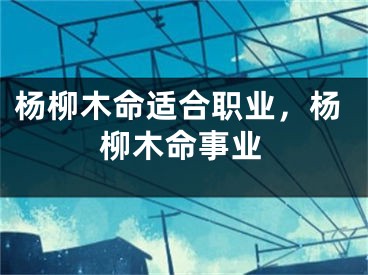 杨柳木命适合职业，杨柳木命事业